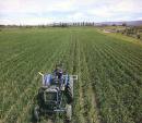 Agricultura